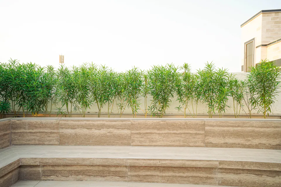 Photograph of Villa 146, managed by Dar Al Emarat in Ajman — photo 76
